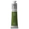 Winsor & Newton Winton Oil Color - Sap Green, 200 ml tube